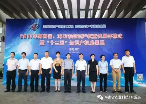 2017年海南省知識產(chǎn)權(quán)十大社會關(guān)注熱點 聚焦服務(wù)創(chuàng)新與產(chǎn)業(yè)升級